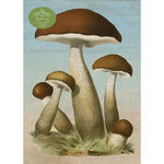 Puzzle John Derian Paper Goods: Mushrooms 1,000 piece