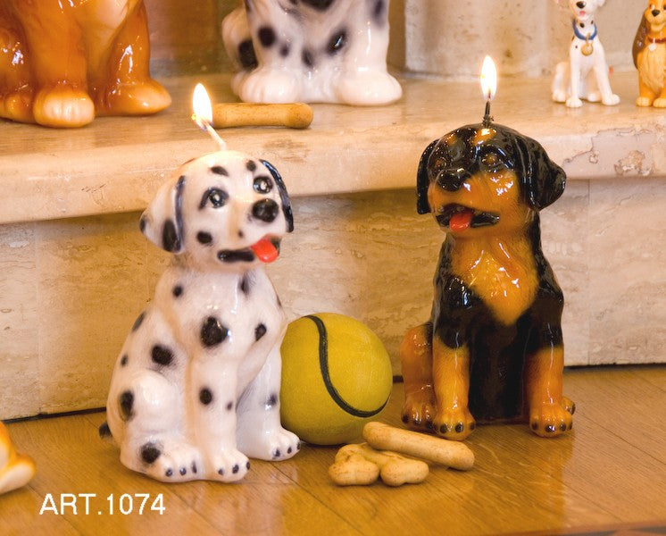 Candle Rottweiler