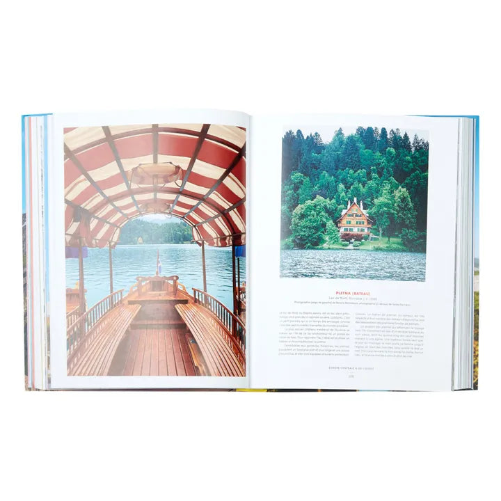 Book Accidentally Wes Anderson