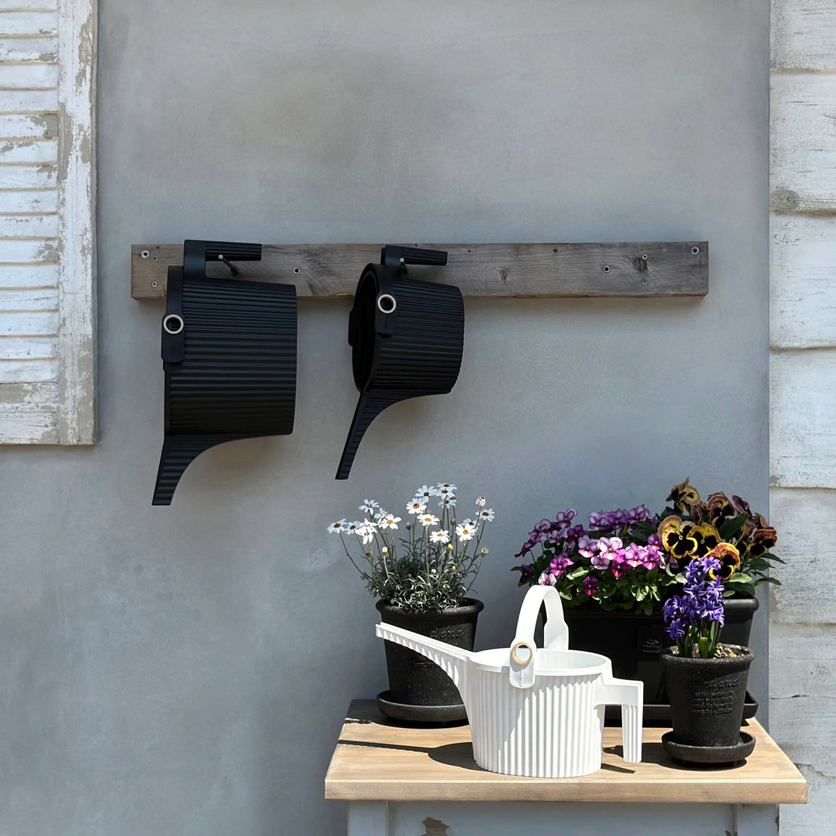 Watering Can Hachiman Garden Beetle