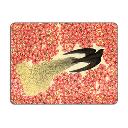 Placemats Swift Set of 4