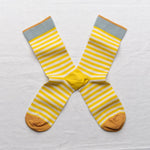 Socks Stripes Sulfure