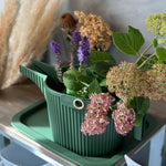 Watering Can Hachiman Garden Beetle