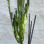 Incense Sticks Lavender Sage - Outdoor/Jumbo