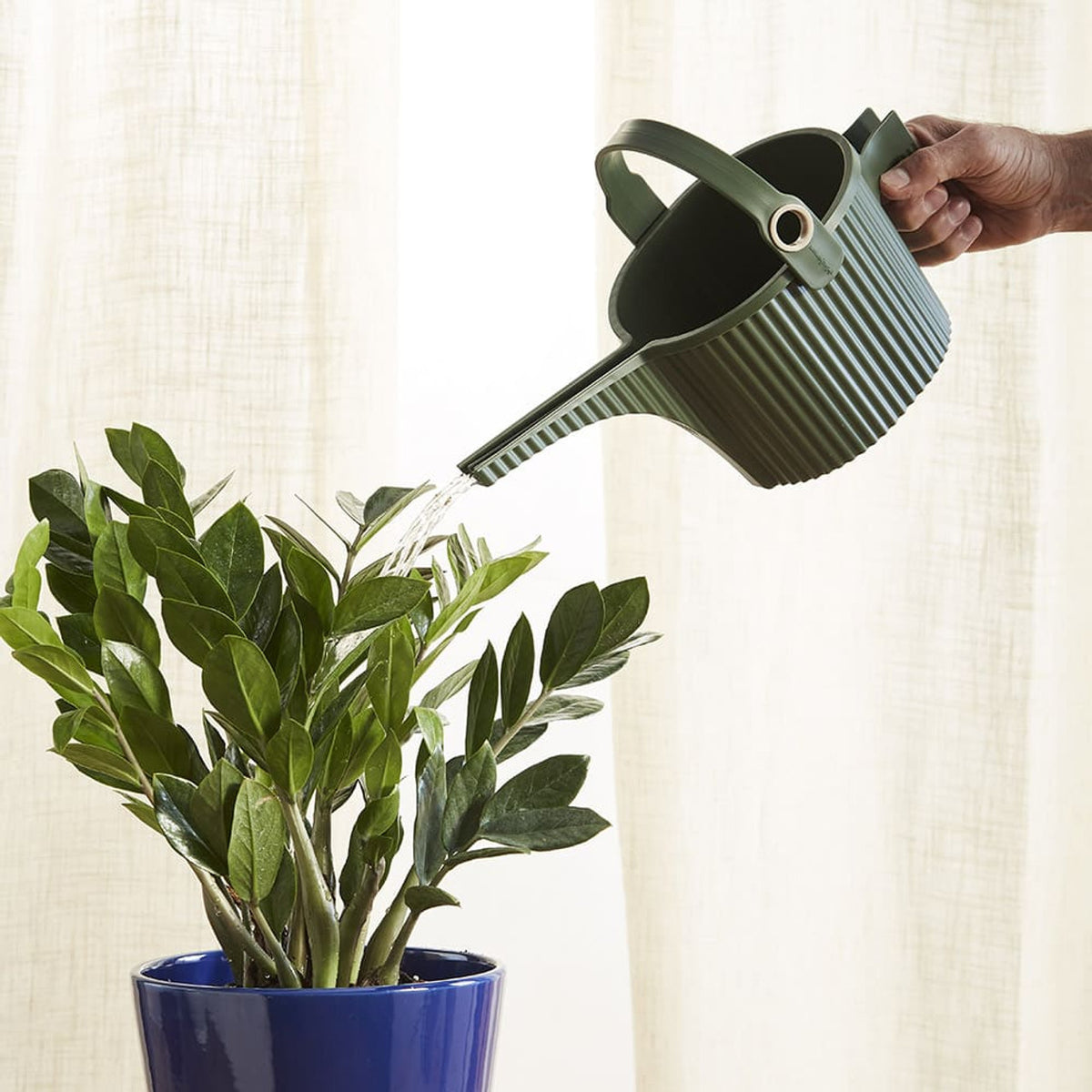 Watering Can Hachiman Garden Beetle