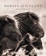 Book Horses Of Iceland