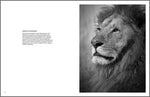 Book True Wildlife