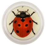 Coaster 6" Lady Bug