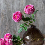 Flowers Artificial Garden Rose Mauve
