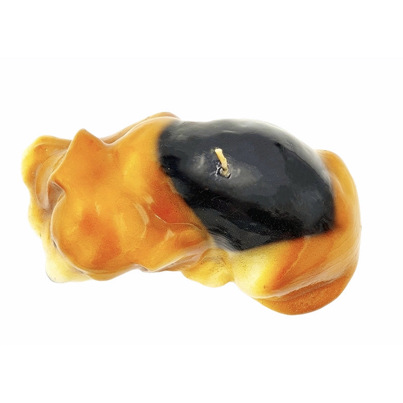 Candle Beagle