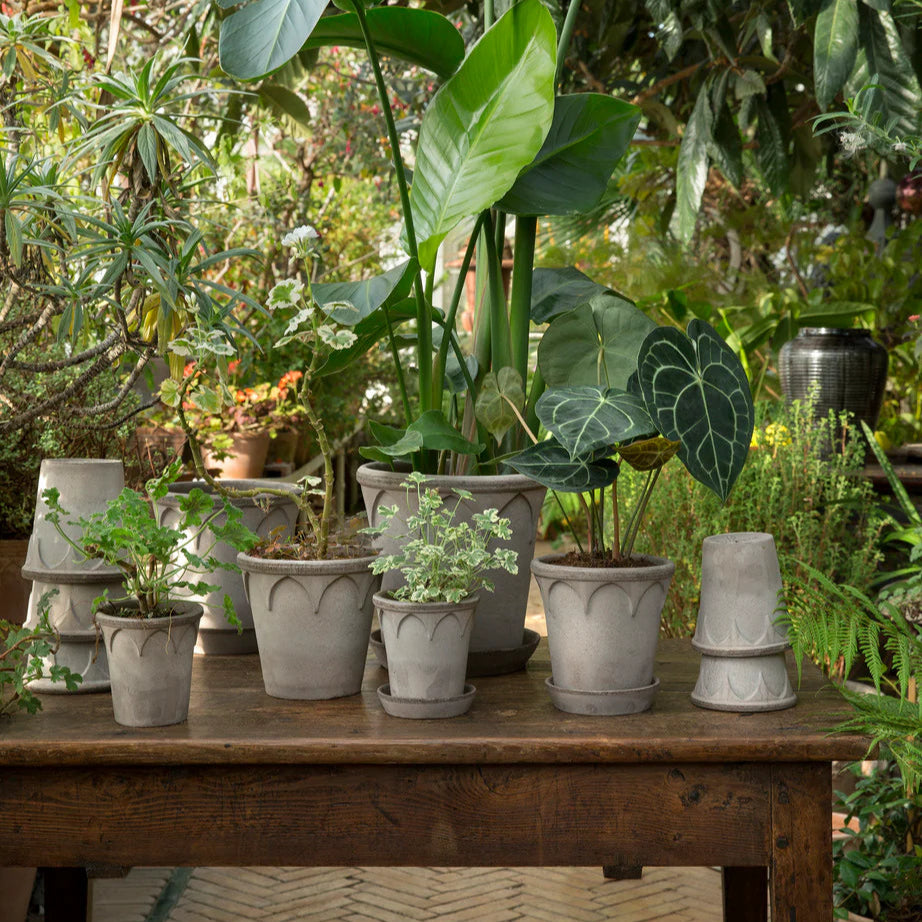 Pot Elizabeth - Raw Grey Set