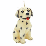 Candle Dalmatian
