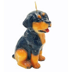 Candle Rottweiler