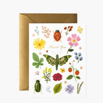 Card Curio Thank you
