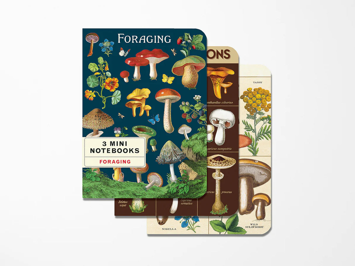 Mini Vintage Notebooks Foraging Set of 3