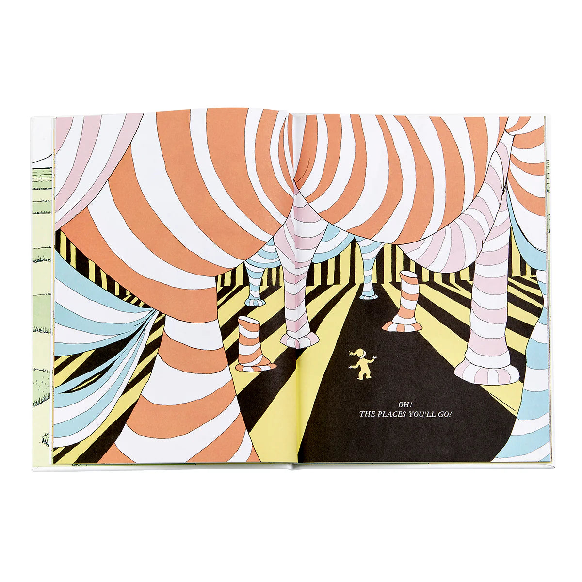 Book Oh The Places You'll Go - Leather Bound Edition