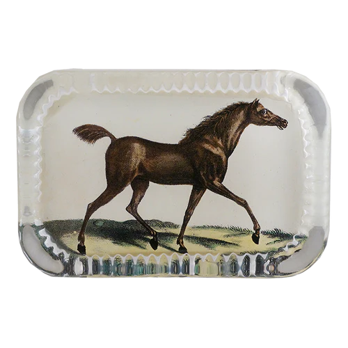 Paperweight John Derian: English Race Horse Rect.
