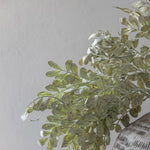 Floral Eucalyptus Cream Stem
