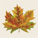 Napkin Cocktail Fall Foliage