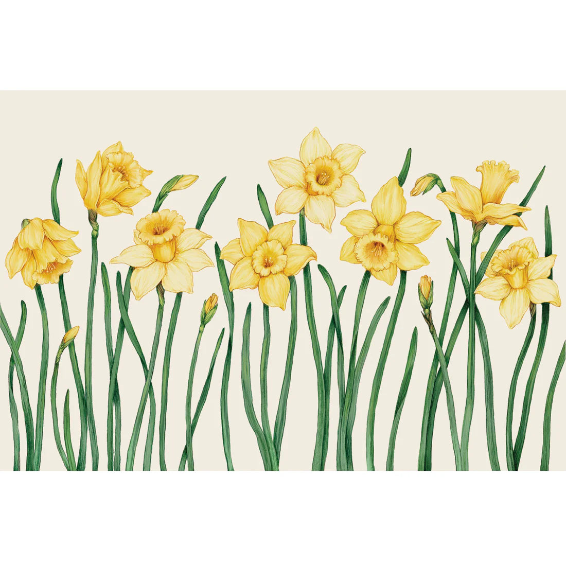 Placemat Paper - Field of Daffodils Sheets