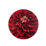 Placemat Dahlia 'Nuit d’Ete' Round Cork-Backed
