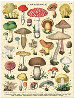 Mini Puzzle Mushroom
