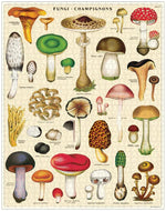 Puzzle Mushrooms
