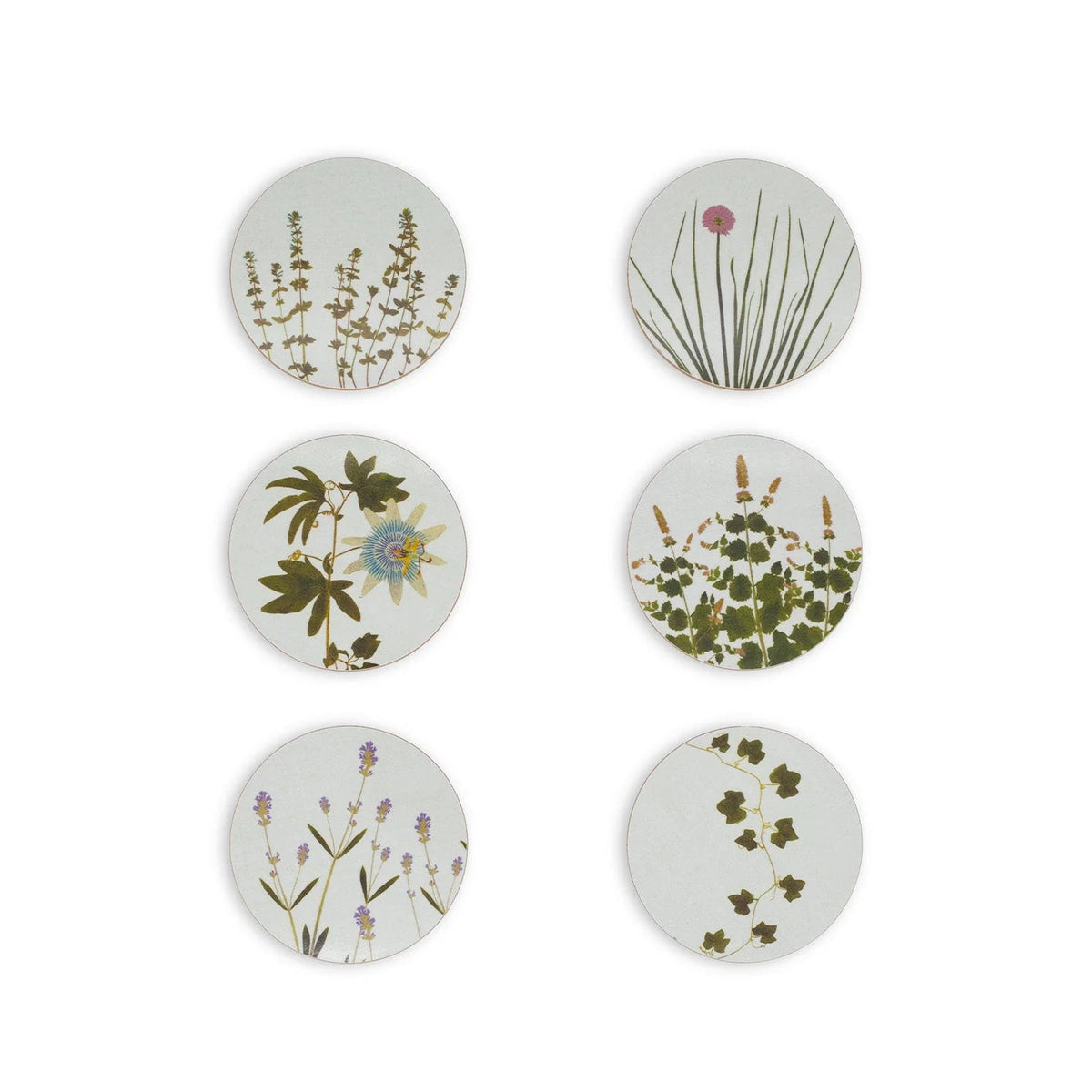 Coasters S&B Set of 6 - Herbarium
