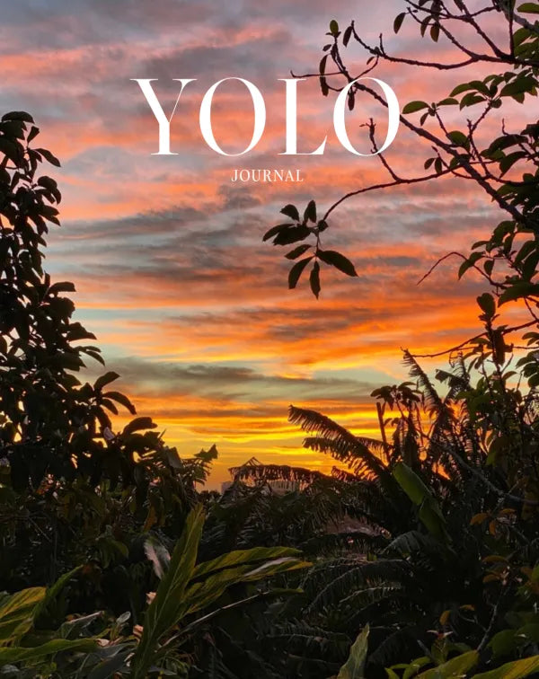 Yolo Journal