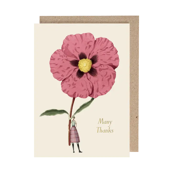 Card Hester & Cook Greeting