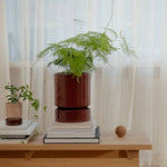 Pot & Saucer Hoff Glazed - Burgundy