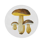 Plate Dinner Bolet Comestible