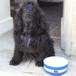 Dog Bowl Cornish