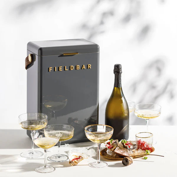 FIELDBAR Drinks Box hardcase cooler with leather handle and brass-coated hardware, showcasing its sleek design and Pantone 10C color, placed on an outdoor surface. Drinks Box / Oyster Grey