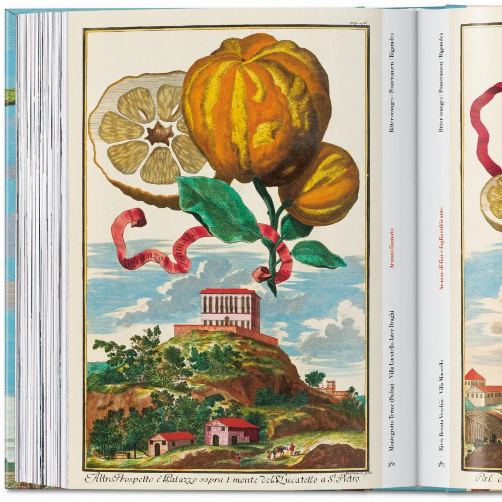 Book J.C Volkamer. The Book of Citrus Fruits. 45th Edition