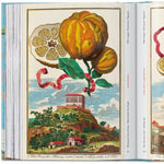 Book J.C Volkamer. The Book of Citrus Fruits. 45th Edition