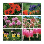 Book Entertaining Martha Retro