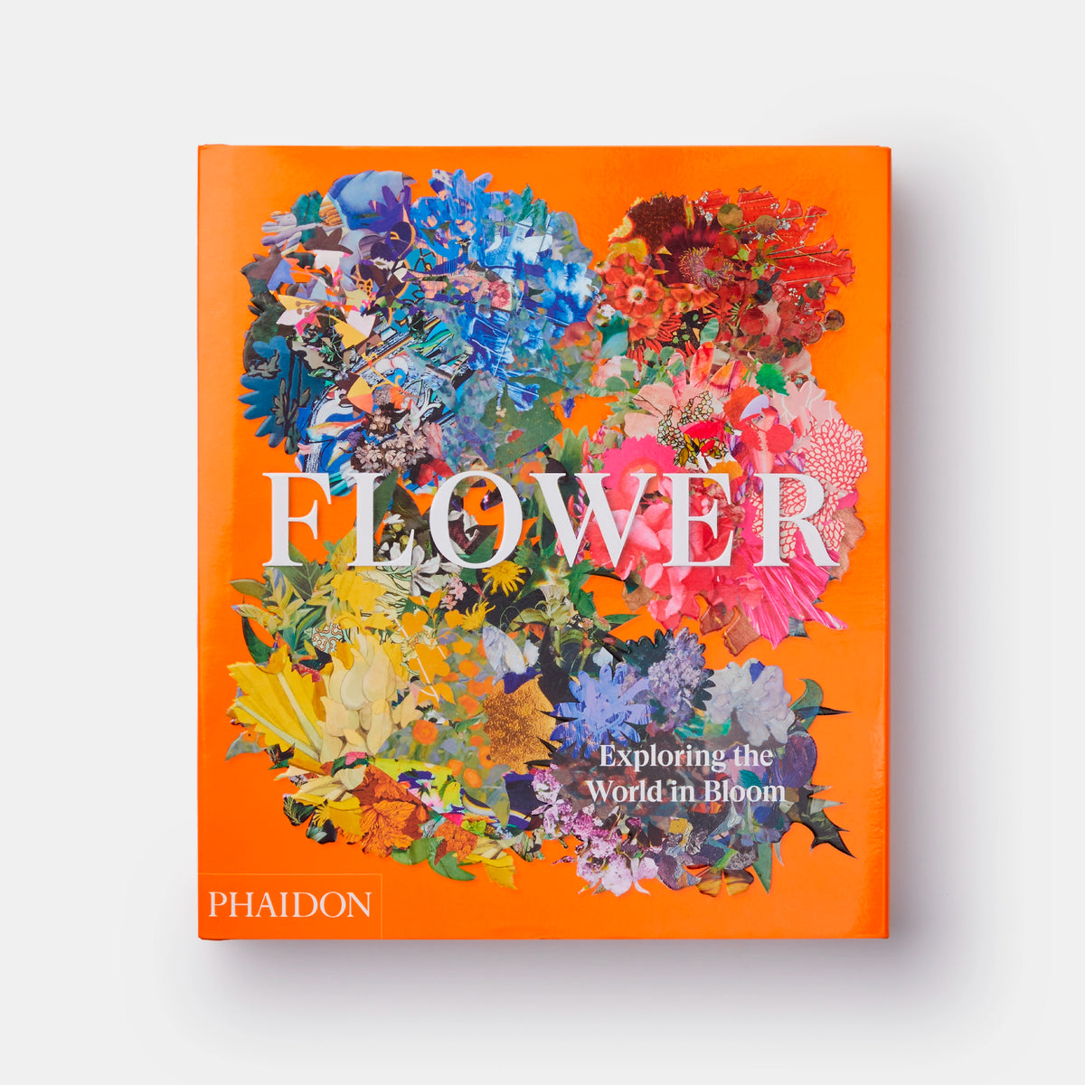 Book Flower: Exploring the World in Bloom