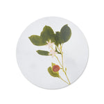 Placemat Herbarium round, cork-backed - Citrus