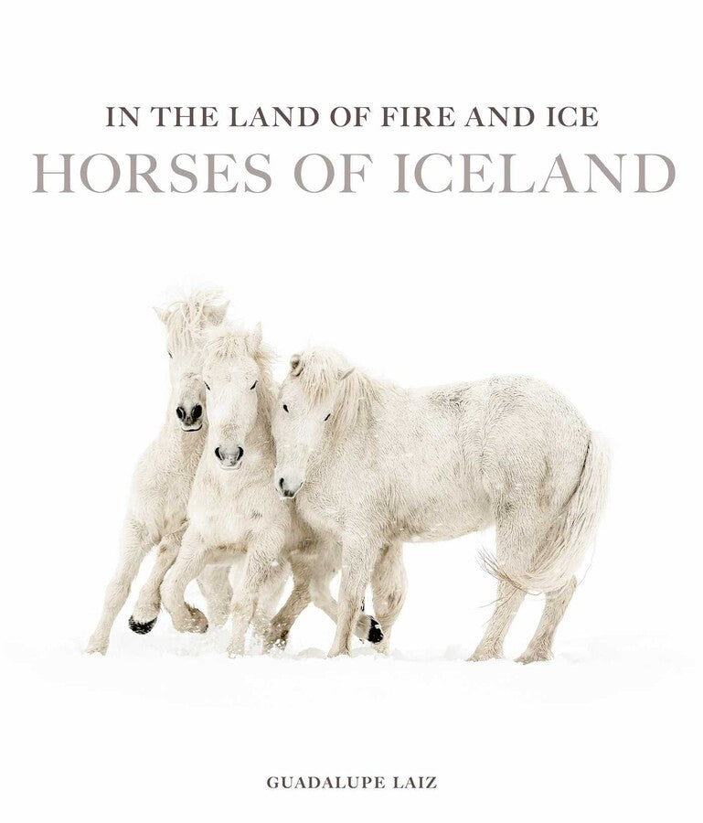 Book In the Land of Fire & Ice