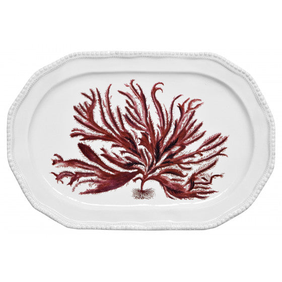 Platter Red Seaweed