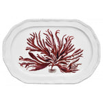 Platter Red Seaweed