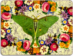 Placemats Eyed Butterfly Set of 4