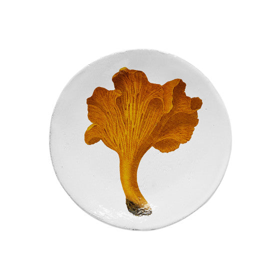 Plate Chanterelle Comestible