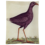 Purple Bird Tray #18