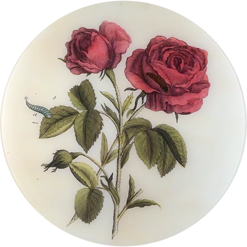 Stemmed Rose Round Tray