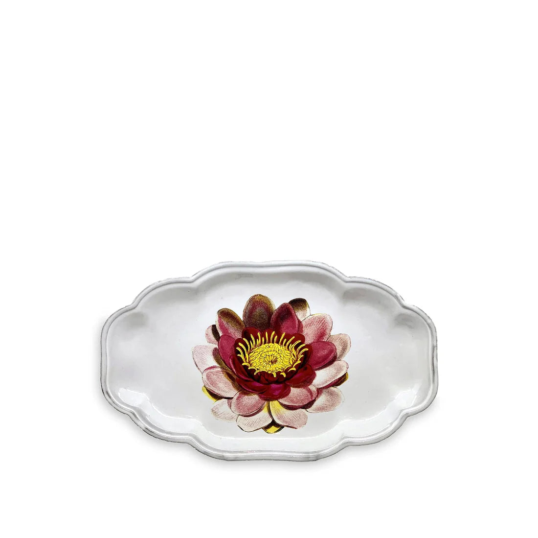 Platter Waterlily