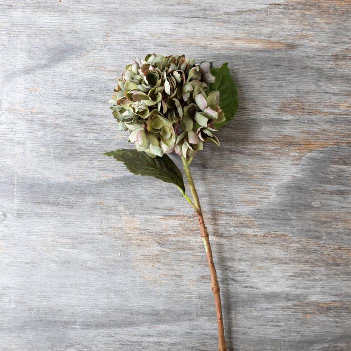 Floral Hydrangea Chloris Stem