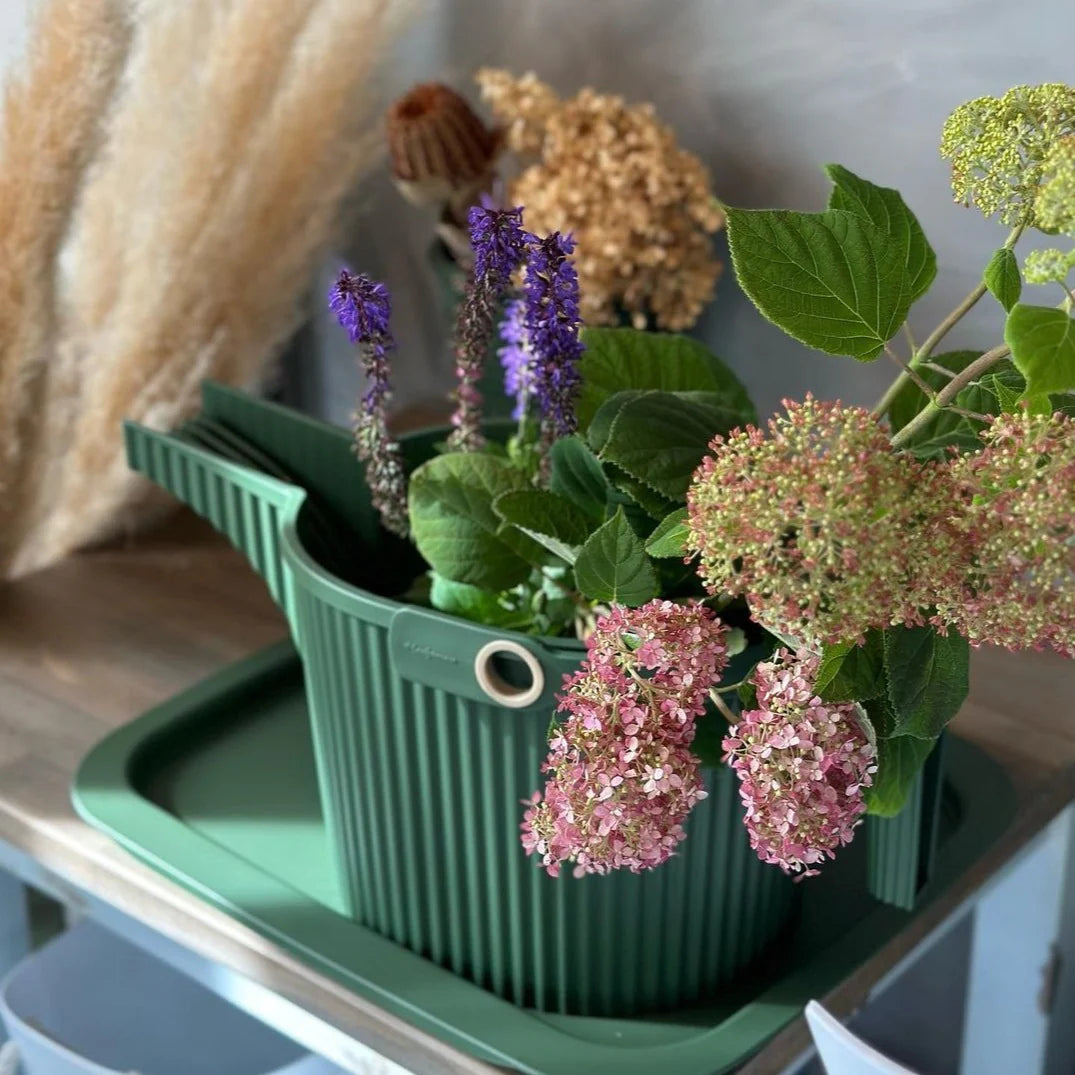 Watering Can Hachiman Garden Beetle - DESIGN SOLUTIONS Watering Can Hachiman Garden Beetle - DESIGN SOLUTIONS