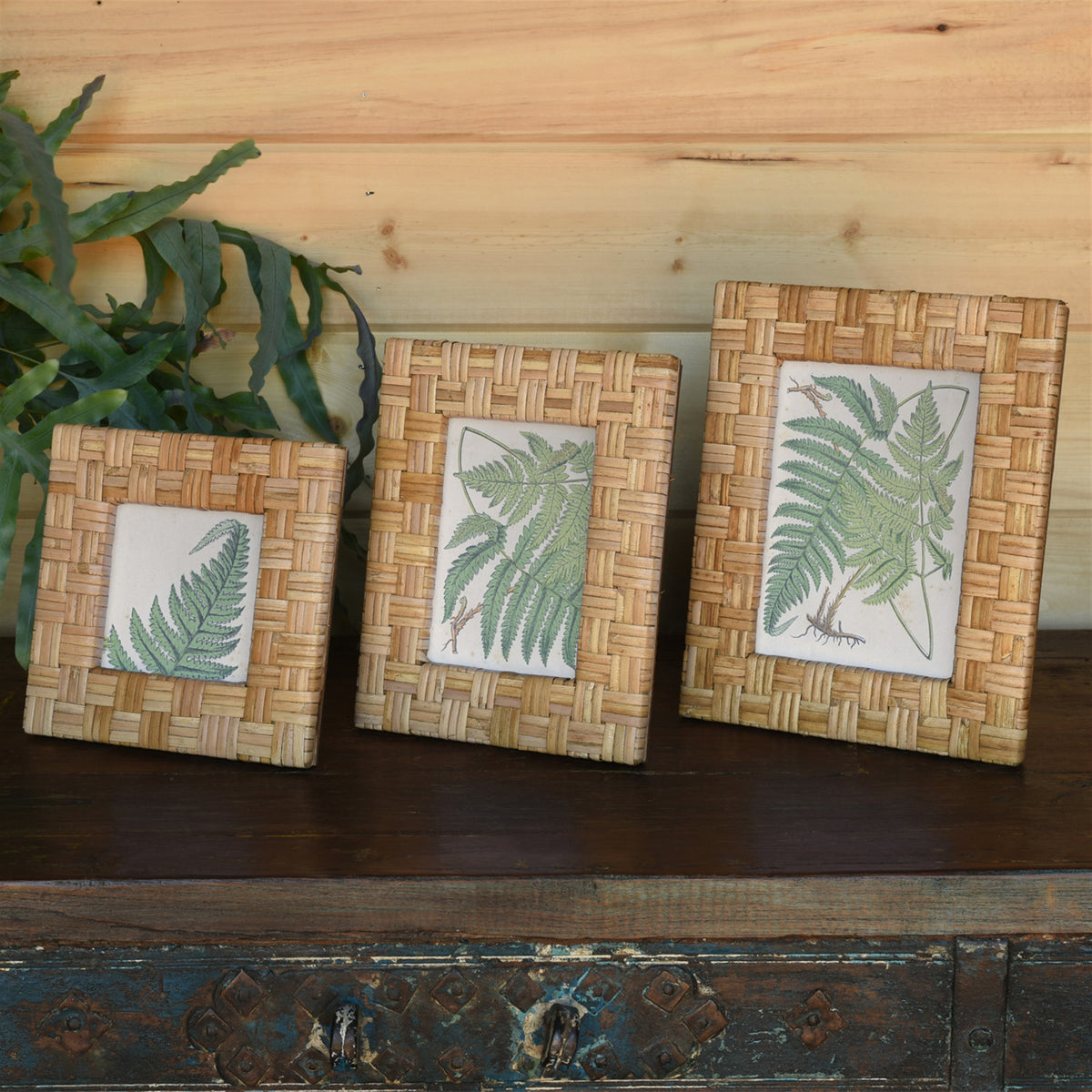 Frame Ridley - Rattan